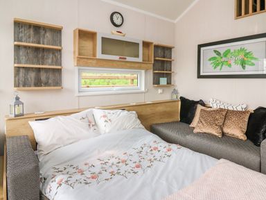 A living area with a pull-out bed floral bedding wall shelves and framed wall art at Woodland Escape in Rhayader