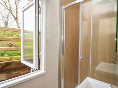 A bathroom with a glass shower enclosure and an open window showing a wooden fence outside at Woodland Escape in Rhayader