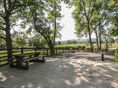 An outdoor seating area with a picnic table and trees at Woodland Escape in Rhayader