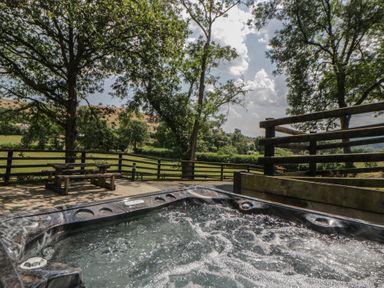A hot tub with benches and trees at Woodland Escape in Rhayader