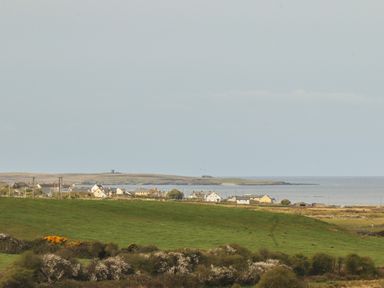 A coastal village with houses near the sea and green fields in the foreground at Cherry Blossom Cottage in Quilty County Clare