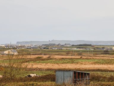 A rural landscape with fields cows and buildings in the distance at Cherry Blossom Cottage in Quilty County Clare