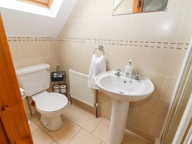 A bathroom with a toilet a sink with soap a towel ring and a skylight at Cherry Blossom Cottage in Quilty County Clare