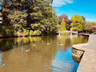 A pond with a bridge and ducks at The Escape in Malvern