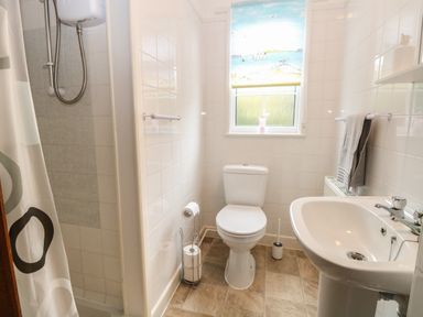 A bathroom with a toilet sink shower and window at Doves Nest Martham