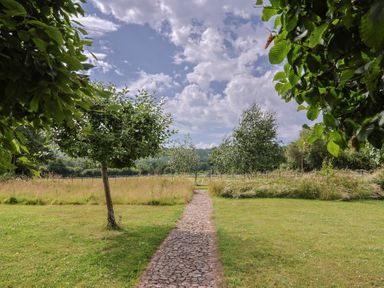A pathway surrounded by trees in the garden at Garden View Wellington