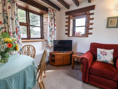 A living room with a red armchair a TV on a wooden stand and a table with a polka dot tablecloth and flowers at Stable Cottage in Colyton