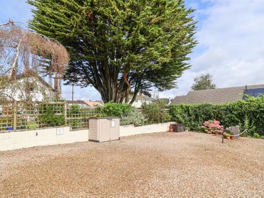 An outdoor area with gravel ground a large tree potted plants and a small shed at Stable Cottage in Colyton