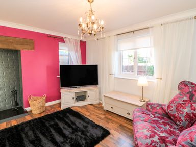 A living room with a television on a stand a patterned armchair a black rug and a window with white curtains at Anvil Cottage in Appleton Wiske