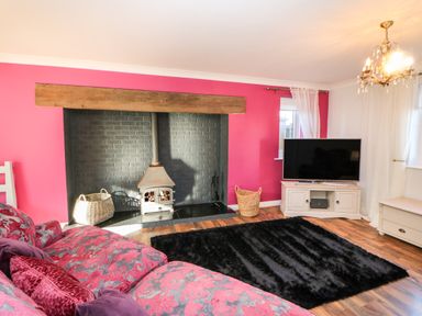 A living room with a fireplace a pink and gray sofa a black rug a television on a white cabinet and hardwood flooring at Anvil Cottage in Appleton Wiske