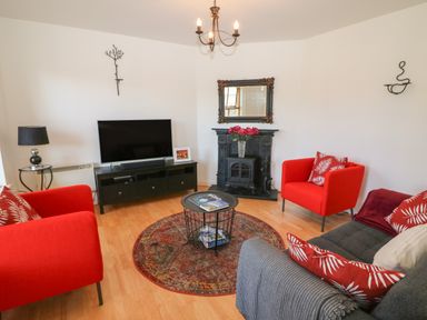 A living room with red armchairs a gray sofa a round rug a black fireplace and a flat screen tv at 1 Closheen Lane in Rosscarbery County Cork