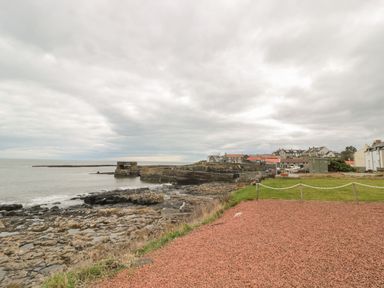 A rocky coastline with a stone pier and buildings in the distance at Summer Rose in Craster
