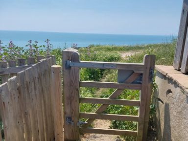 A wooden gate opening to a path with grass and flowers leading to the sea at Sandy Combe in West Bay