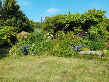 A garden with various flowering plants bushes and a small tree on a grass lawn at Sandy Combe in West Bay