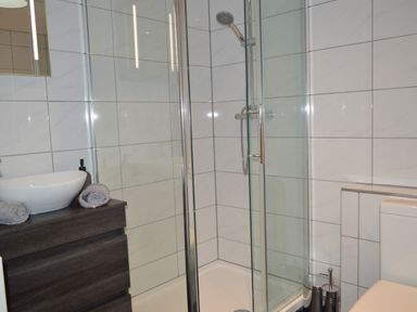 A bathroom with a glass shower enclosure a white sink on a dark wooden cabinet and a toilet at Cwrt y Wennol in Salem near Clydach