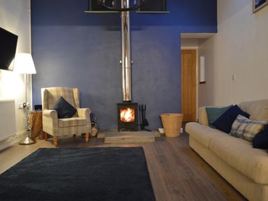 A living room with a wood stove fire a checked armchair a beige sofa and a floor lamp at Cwrt y Wennol in Salem near Clydach