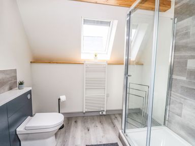 A bathroom with a toilet, shower enclosure, towel radiator, and skylight window at Hill Radnor - The Sheepfold in Llanyre near Llandrindod Wells