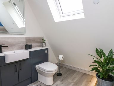 A bathroom with a toilet sink vanity mirror window and potted plant at Hill Radnor - The Sheepfold in Llanyre near Llandrindod Wells