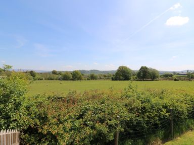 A green field with scattered trees and sheep behind a hedge and fence under a blue sky at Hill Radnor The Sheepfold in Llanyre near Llandrindod Wells