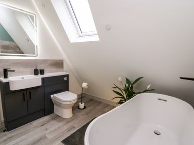 A bathroom with a bathtub sink toilet and a plant at Brecknock Cheviot - The Sheepfold Llanyre near Llandrindod Wells