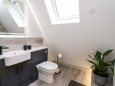 A bathroom with a toilet sink black cabinet a potted plant and a skylight at Brecknock Cheviot - The Sheepfold Llanyre near Llandrindod Wells