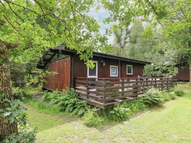 A wooden cabin with a fenced porch surrounded by trees and grass at Doirewood Penlan Holiday Park near Cenarth