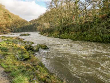 A fast flowing river surrounded by mossy rocks and leafless trees at Doirewood in Penlan Holiday Park near Cenarth