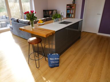 A kitchen island with a sink wooden bar stool and flowers next to a living room with a sofa and television at The Linhay Cadeleigh near Tiverton