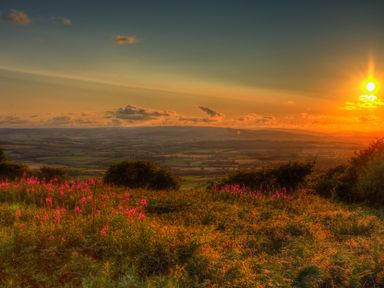 A field with pink flowers and bushes at sunset overlooking a valley with hills at The Linhay in Cadeleigh near Tiverton