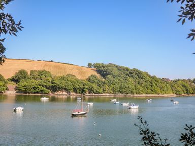 A body of water with several boats floating near a tree-lined shore under a clear sky at Victoria Lodge in Kingsbridge