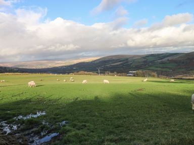 A green pasture with sheep grazing under a partly cloudy sky with hills in the background at Nant Moel Isaf Farm in Rhydyfro near Pontardawe