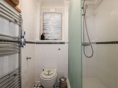 A bathroom with a toilet with an anchor design on the seat cover a shower with a glass partition a towel radiator and a framed painting at Melvill Lower Deck in Falmouth