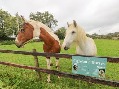 Two horses standing behind a wooden fence in a green field with a sign describing the horses named Eve and Rupert at Y Beudy in Crosswell Eglwyswrw near Newport Pembrokeshire