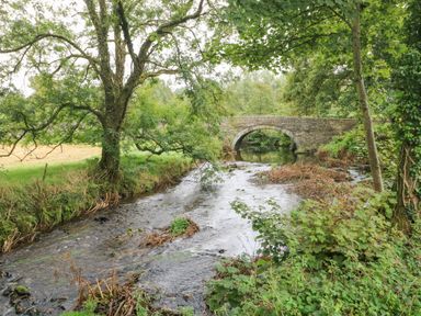 A stream with plants and trees next to an old stone bridge at Y Beudy in Crosswell Eglwyswrw near Newport Pembrokeshire