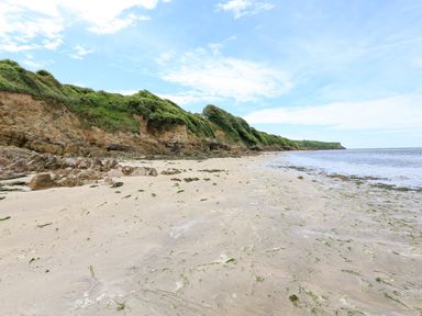 A sandy beach with seaweed and rocks next to a cliff with green vegetation at 3 Rock Cottages in Kingston