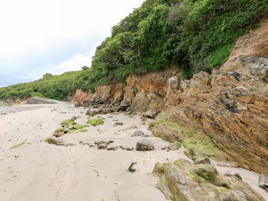A sandy beach with rocks and green vegetation along cliffs at 3 Rock Cottages in Kingston