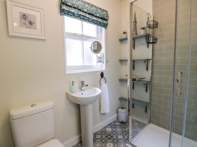 A bathroom with a toilet sink and shower with green shelves and patterned floor tiles at East Lodge - Crathes Castle in Crathes Castle near Banchory