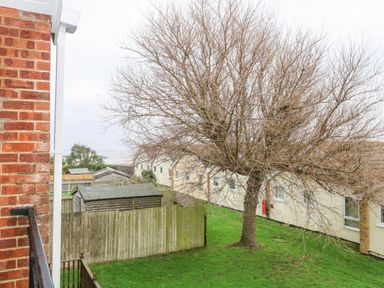 A backyard with a large leafless tree wooden sheds and a beige building at 91 Waterside Park in Lowestoft