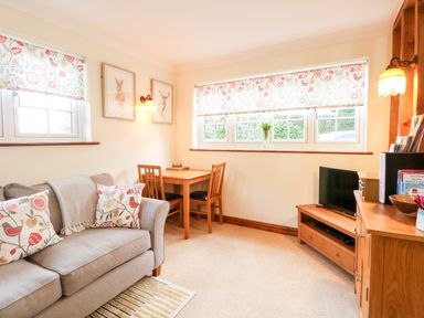 A sitting room with a sofa pillows table chairs and a television at Hunters Lodge in Great Moulton near Long Stratton