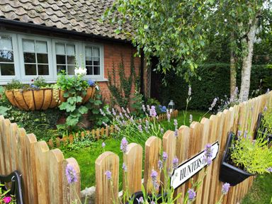 A garden with a wooden fence and purple flowers in front of a brick house at Hunters Lodge in Great Moulton near Long Stratton
