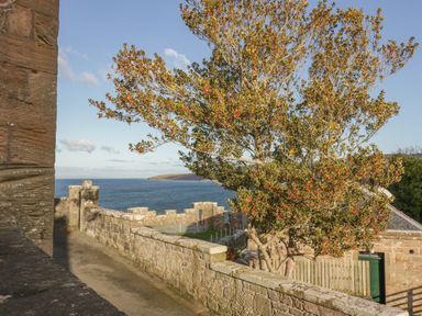 Stone walkway along a castle wall with a tree bearing red berries and a view of the sea at Ardlochan Lodge - Culzean Castle in Maybole