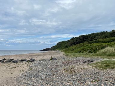 A rocky and sandy beach with green bushes and trees on one side and the sea on the other at Ardlochan Lodge - Culzean Castle in Maybole