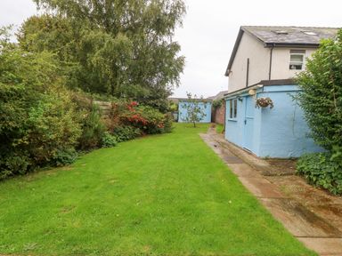 A garden with a green lawn and trees next to a blue building at Angorfa in Beaumaris