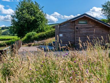A cabin in a grassy area at Birch Banc Retreats - Bedw Llanidloes