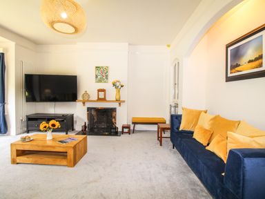 A living room with a blue sofa with yellow cushions a wooden coffee table with flowers a fireplace a TV on a stand and wall art at Deer Leap House in Moreton