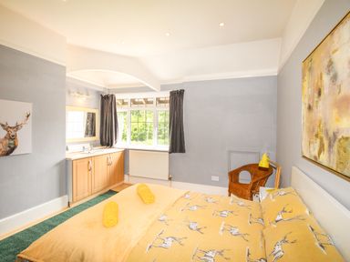 A bedroom with a bed yellow bedding a wicker chair a sink under a window and paintings on walls at Deer Leap House in Moreton