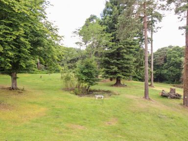 A grassy clearing with trees and a stone bench at Deer Leap House in Moreton
