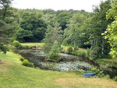 A small pond with water lilies surrounded by grass and trees with a blue boat on the grass at Deer Leap House in Moreton