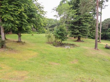 A grassy area with several trees a small white bench and two deer grazing at Deer Leap House in Moreton