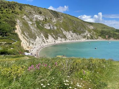 A coastal bay with grassy foreground and rocky hills surrounding a curved beach with boats on the water at Deer Leap House in Moreton